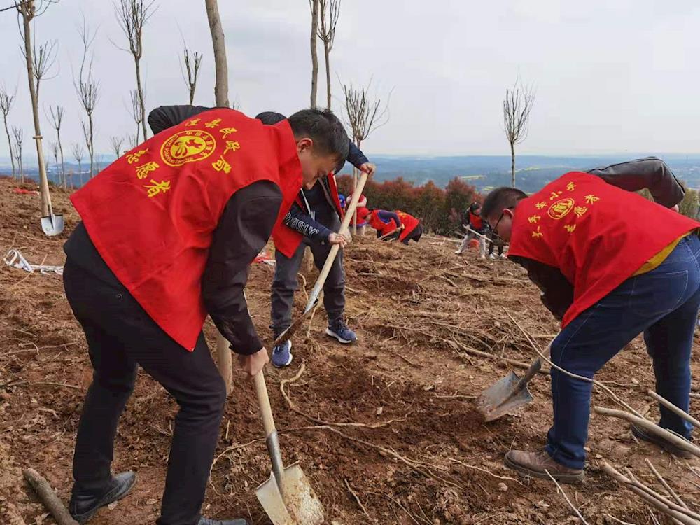 0475e77f6ff64c38b8d4c5fed2fb70b1.jpg 0475e77f6ff64c38b8d4c5fed2fb70b1.jpg