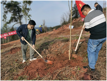 ae30b96b57aa48cfb4cd4f418ba356b6.png ae30b96b57aa48cfb4cd4f418ba356b6.png