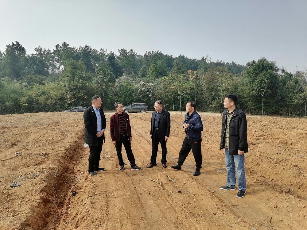 3e7622bae02f4d49a91d36f3c37be0f8.jpg 3e7622bae02f4d49a91d36f3c37be0f8.jpg