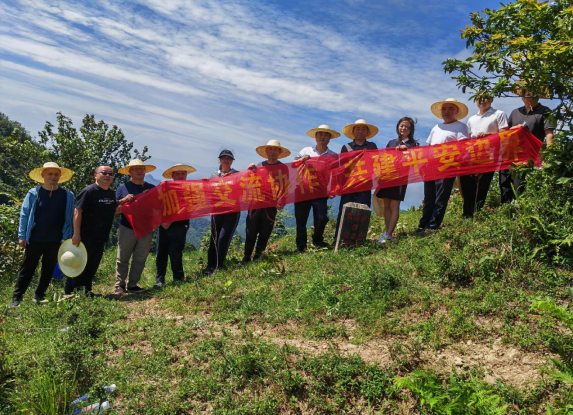 e33e6afbca554b85af855912a2752ebb.png e33e6afbca554b85af855912a2752ebb.png